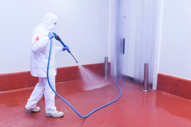 Best Solar Panel Cleaning  in South Palm Beach, FL